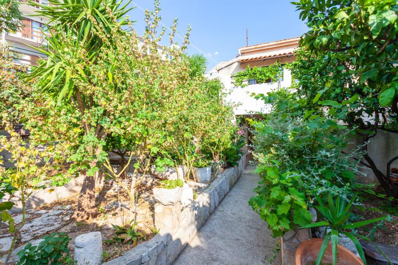 Sea And Lemon Tree Apartment Drašnice Exteriér fotografie